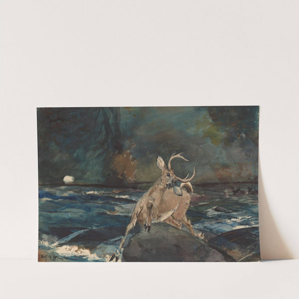 A Good Shot, Adirondacks by Winslow Homer