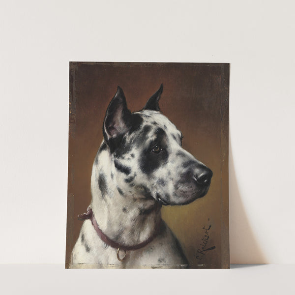 A Great Dane by Carl Reichert