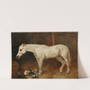 A grey horse in a stable by John Frederick Herring Snr.