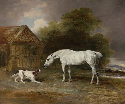 A Grey Hunter And A Spaniel