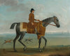 A Grey Racehorse With A Jockey Up Exercising On Newmarket Heath