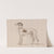 A Greyhound, Facing Left by James Seymour