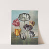 A group of tulips by Robert John Thornton