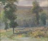 A grove with deer