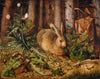 A Hare in the Forest