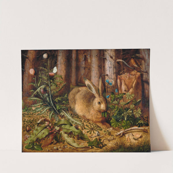 A Hare in the Forest by Hans Hoffmann