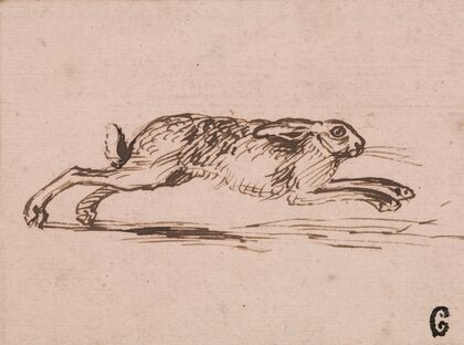 A Hare Running, with Ears Laid Back