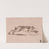 A Hare Running, with Ears Laid Back by James Seymour