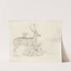 A Herd of Deer Grazing in a Park by Sir Edwin Henry Landseer