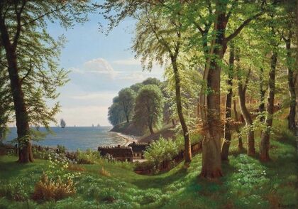 A hidden woodland cove