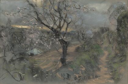 A Hillside Path with Blooming Cherry Trees under an Overcast Sky
