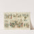 A hint from the world&#039;s fair - why not have a &#039;bureau of public comfort&#039; in every large city by Frederick Burr Opper