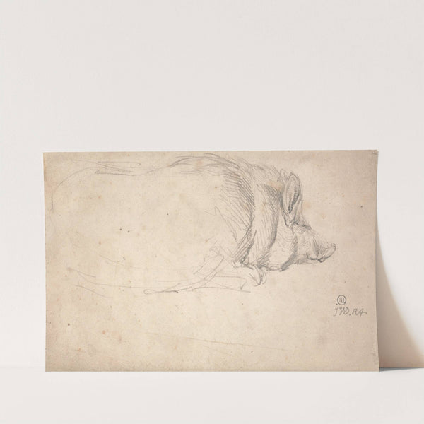 A Hog, Sleeping by James Ward