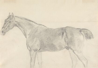 A Horse, Facing Left