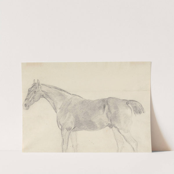 A Horse, Facing Left by Sawrey Gilpin