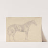 A Horse, Facing Right by Sawrey Gilpin