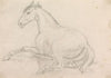 A Horse Lying Down