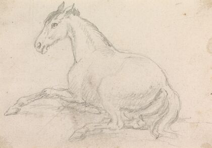 A Horse Lying Down