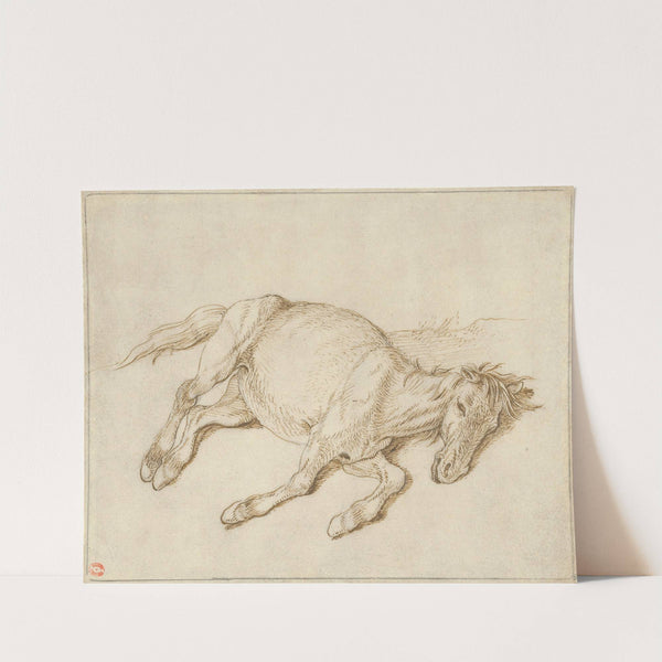 A Horse Lying on its Side by Sinibaldo Scorza