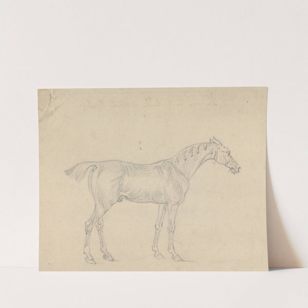 A Horse by Sawrey Gilpin