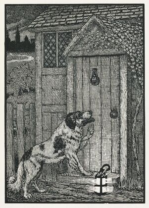 A hundred anecdotes of animals pl 003