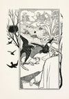 A hundred anecdotes of animals pl 014