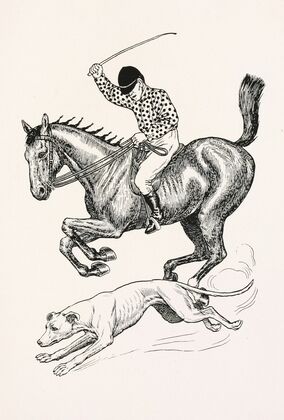 A hundred anecdotes of animals pl 043