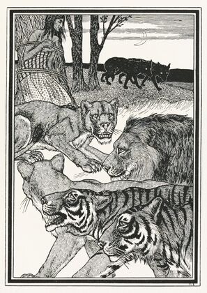 A hundred anecdotes of animals pl 053