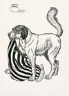 A hundred anecdotes of animals pl 054