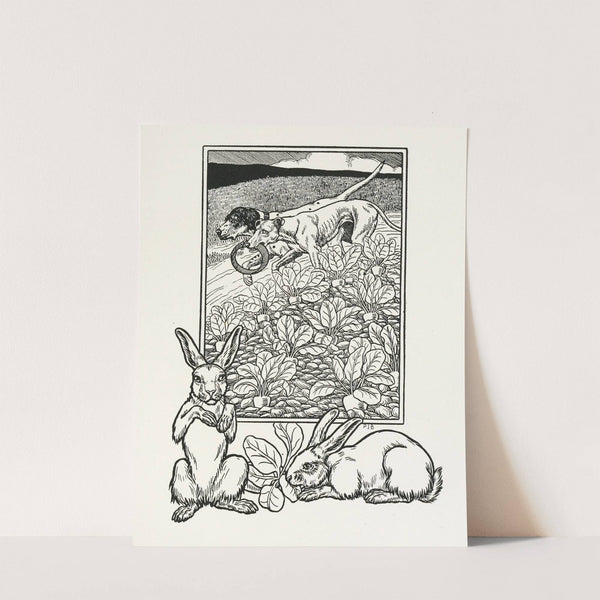 A hundred anecdotes of animals pl 056 by Percy J. Billinghurst