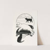 A hundred anecdotes of animals pl 062 by Percy J. Billinghurst