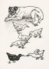 A hundred anecdotes of animals pl 065