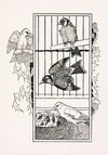 A hundred anecdotes of animals pl 084