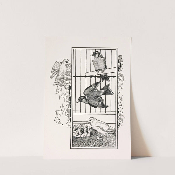 A hundred anecdotes of animals pl 084 by Percy J. Billinghurst