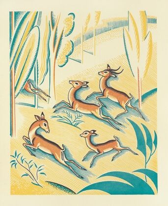 A Jungle Picnic Pl.01