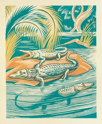 A Jungle Picnic Pl.04