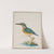A Kingfisher by Johann Ludwig Ernst Morgenstern