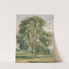 A Large Tree in a Summer Landscape, a Horse Standing at the Base by Lionel Constable