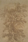 A Large Tree