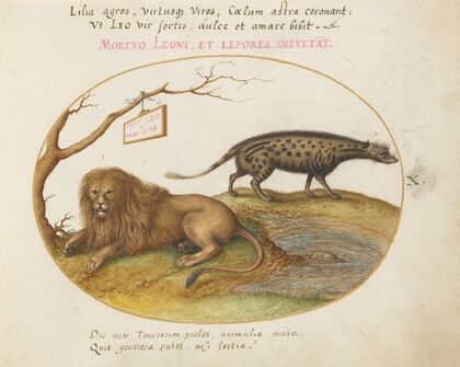 A Lion and a Civet Cat (1575-1590)