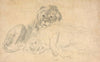 A Lion and His Mate