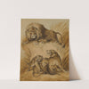 A Lion, Lioness and two cubs by Sydenham Edwards