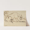 A Lioness and a Caricature of Ingres (1850s) by Eugène Delacroix