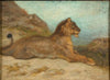 A lioness