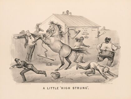 A little ‘high strung’ (1879)