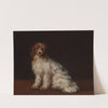 A long-haired terrier by Richard Cosway