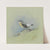 A Male Wheatear by Archibald Thorburn