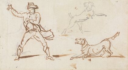 A Man throwing a Ball to a Dog