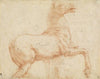 A Marble Horse on the Quirinal Hill (recto)