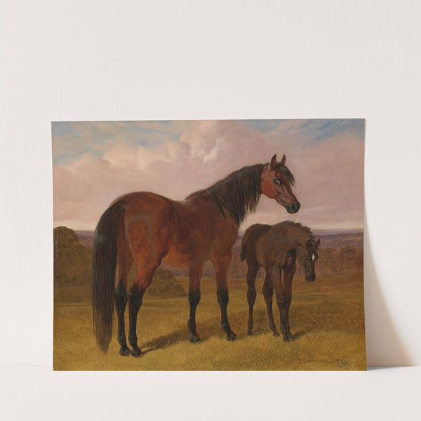 A mare and foal in a landscape (1853) by John Frederick Herring Snr.